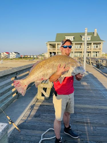 Jennette's Pier, Jennette's Pier Fishing Report