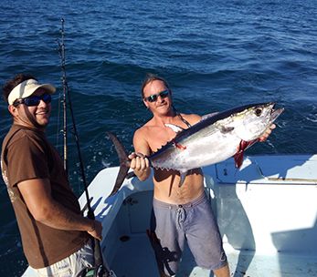 Tuna Duck Sportfishing, Blackfin Tuna
