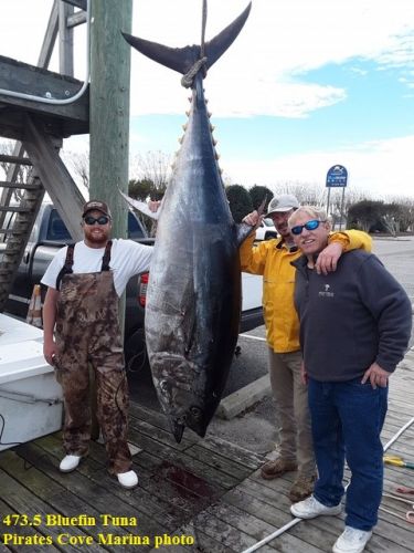 TW’s Bait & Tackle, Daily Fishing Report