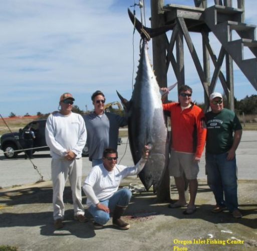 TW’s Bait & Tackle, Daily Fishing Report