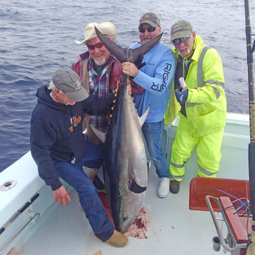 Tuna Duck Sportfishing, Spring Bluefin