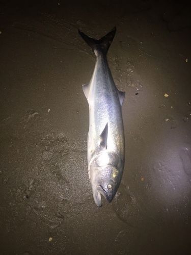 TW’s Bait & Tackle, Daily Fishing Report
