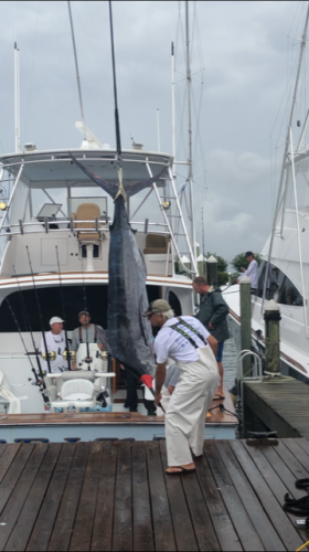Pirate's Cove Marina, PCBGT Day 4 – Good Things Come to Those Who BAIT!