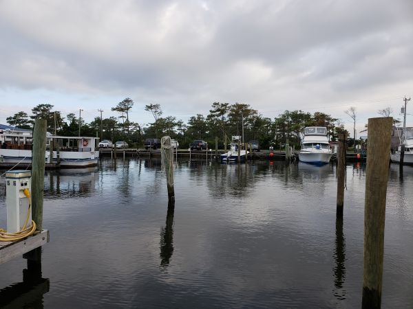 Wanchese Marina, Off The Dock