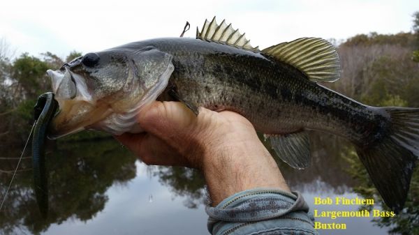 TW’s Bait & Tackle, Daily Fishing Report