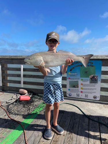 Jennette's Pier, Blues and Flounder