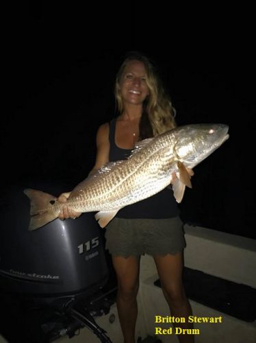TW’s Bait & Tackle, Daily Fishing Report