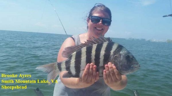 TW’s Bait & Tackle, Daily Fishing Report