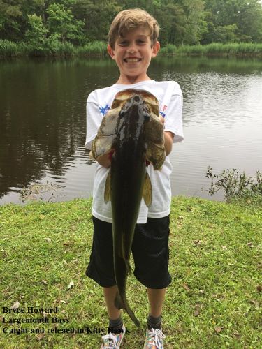 TW’s Bait & Tackle, Daily Fishing Report