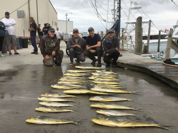 Carolina Girl Sportfishing Charters Outer Banks, Good Mahi Fishing!