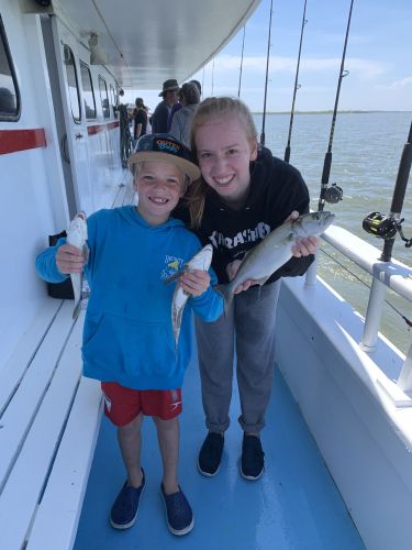 Miss Oregon Inlet II Head Boat Fishing, The Fish Are Here!