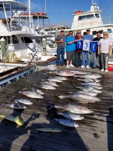 Pirate's Cove Marina, Meat SLAM!