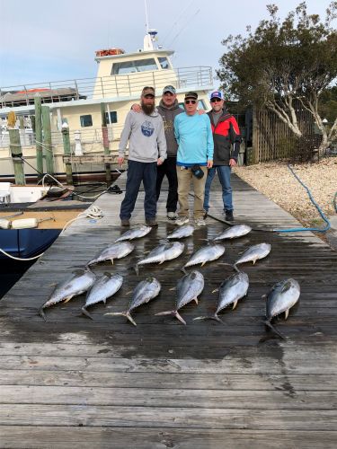 Pirate's Cove Marina, One Fin, Two Fin, Yellowfin, Blackfin!