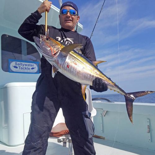 Tuna Duck Sportfishing, Yellowfin Tuna On Topwater