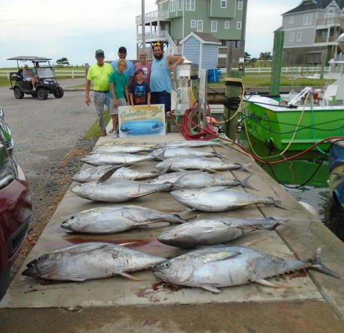 Hatteras Harbor Marina, Yellowfin Tuna catching was excellent