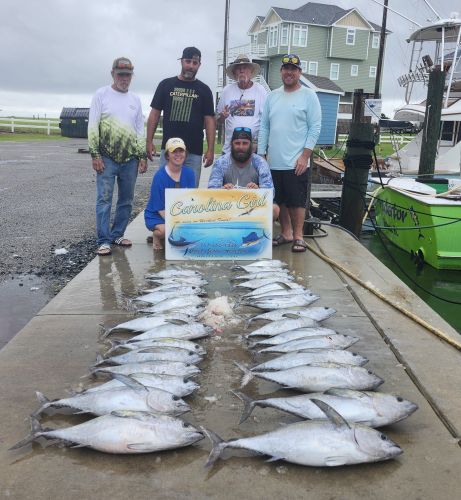 Hatteras Harbor Marina, Blackfin Tuna bites