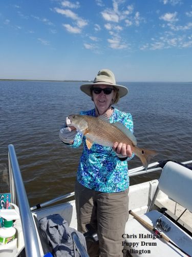 TW’s Bait & Tackle, Daily Fishing Report