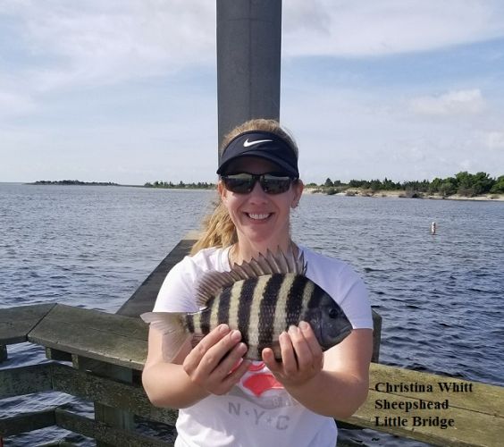 TW’s Bait & Tackle, Daily Fishing Report