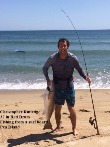 Daily Fishing Report August 29 2018 Tw S Bait Tackle Outer Banks Fishing Reports