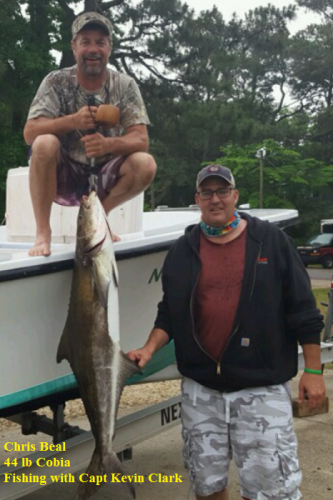TW’s Bait & Tackle, Daily Fishing Report