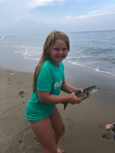 OBX Bait & Tackle Corolla Outer Banks, Corolla Fish Report