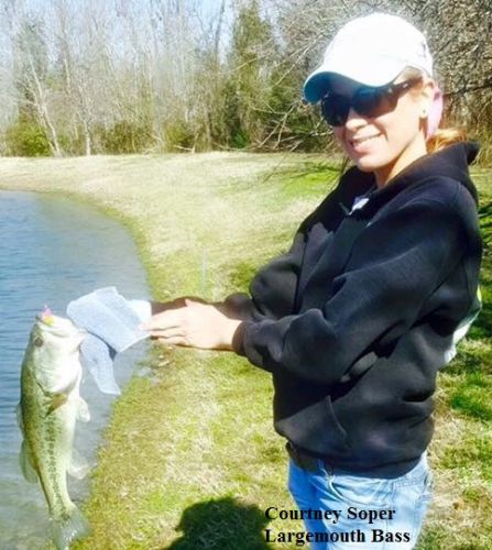 TW’s Bait & Tackle, Daily Fishing Report.