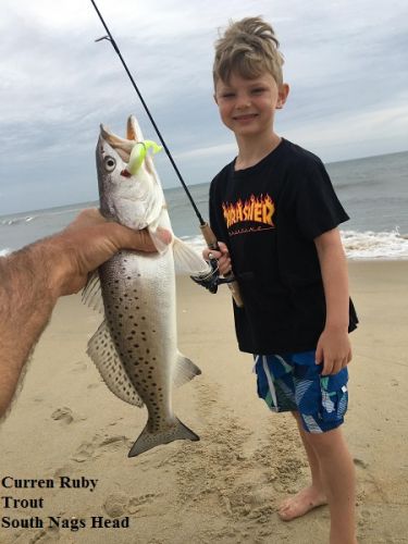 TW’s Bait & Tackle, Daily Fishing Report