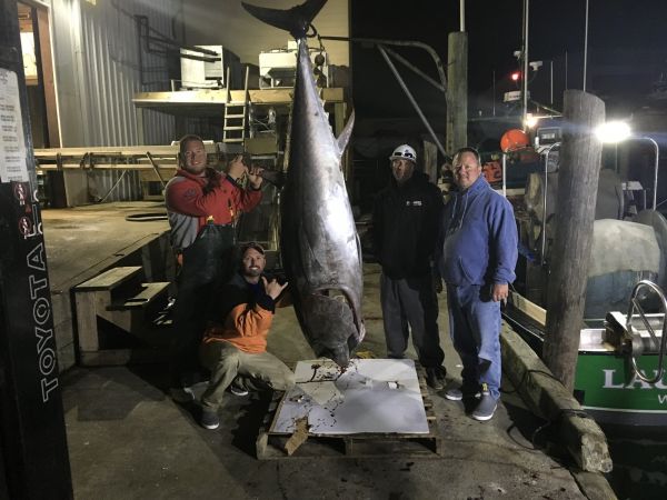 Carolina Girl Sportfishing Charters Outer Banks, Fishing Report