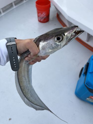 Miss Oregon Inlet II Head Boat Fishing, Great breeze!