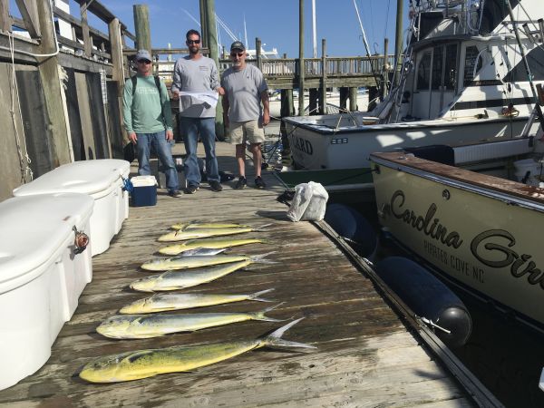 Carolina Girl Sportfishing Charters Outer Banks, Blue Marlin ! & Mahi