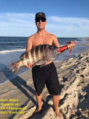 Daily Fishing Report June 18 2019 Tw S Bait Tackle Outer Banks Fishing Reports