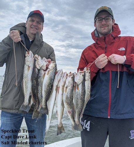 TW’s Bait & Tackle, Daily Fishing Report