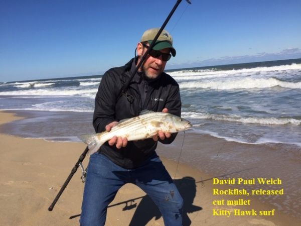Daily Fishing Report October 19, 2019 TW’s Bait & Tackle Outer Banks Fishing Reports Daily Fishing Report October 19, 2019 TW’s Bait & Tackle Outer Banks Fishing Reports