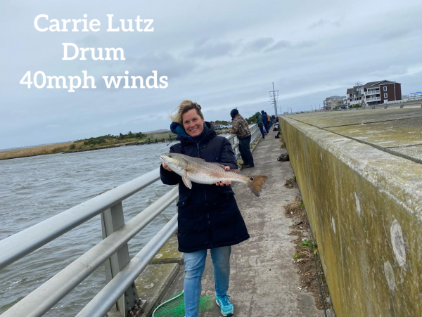 TW’s Bait & Tackle, TW’s Daily Fishing Report