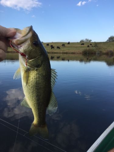 TW’s Bait & Tackle, Daily Fishing Report