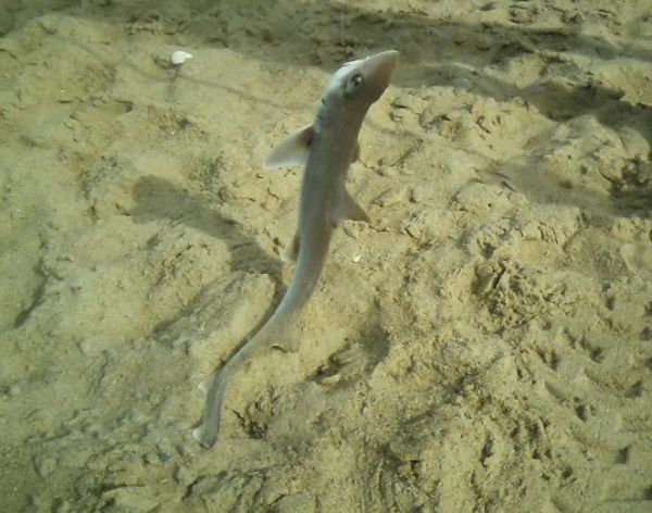 TW’s Bait & Tackle, Daily Fishing Report