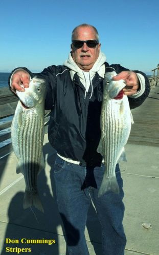 TW’s Bait & Tackle, Daily Fishing Report