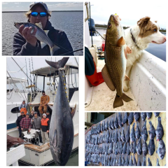 Oceans East Bait & Tackle Nags Head, Great fishing today!
