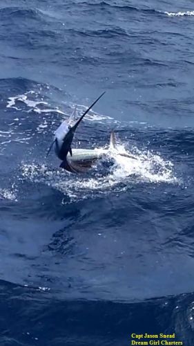 TW’s Bait & Tackle, Daily Fishing Report