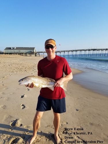 TW’s Bait & Tackle, Daily Fishing Report