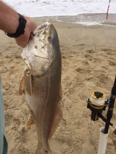 TW’s Bait & Tackle, Daily Fishing Report