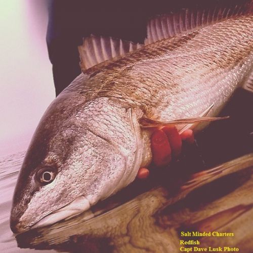 TW’s Bait & Tackle, TW's Daily Fishing Report. 1/14/16