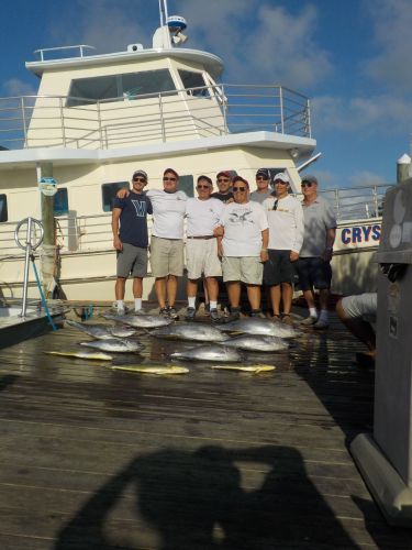 Pirate's Cove Marina, Marlin, Tuna, and Meat Slams!
