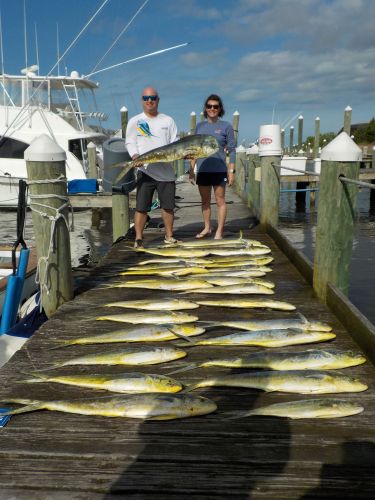 Pirate's Cove Marina, Mahi Madness