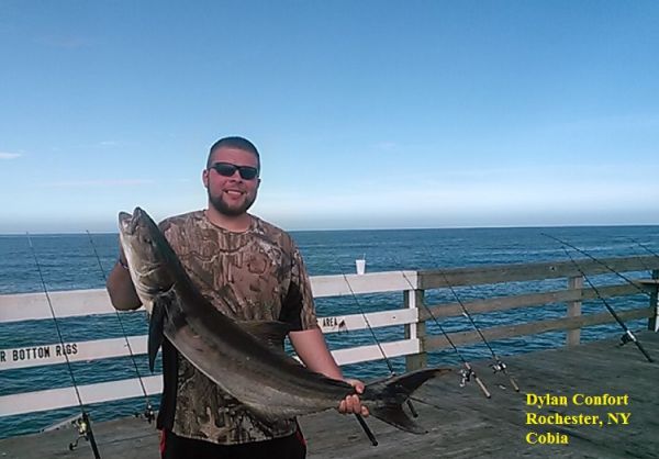 TW’s Bait & Tackle, Daily Fishing Report