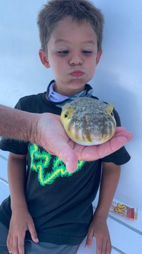Miss Oregon Inlet II Head Boat Fishing, Puffer Fish Thursday