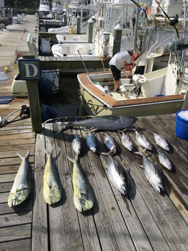 Carolina Girl Sportfishing Charters Outer Banks, Tuna & Mahi