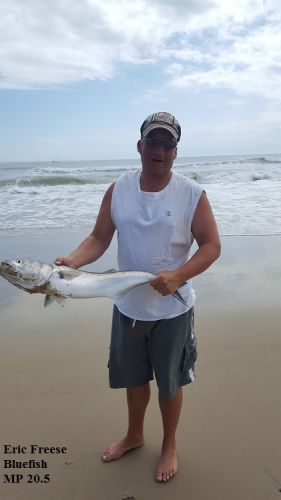 TW’s Bait & Tackle, Daily Fishing Report