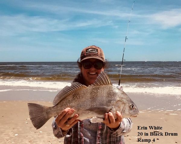 TW’s Bait & Tackle, Daily Fishing Report