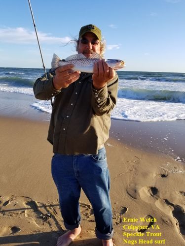 TW’s Bait & Tackle, Daily Fishing Report